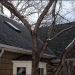 Completed ice dam removal project, ice dam steaming, roof ice removal, roof snow removal, ice in gutter fix